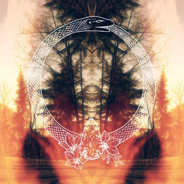 Transmutation