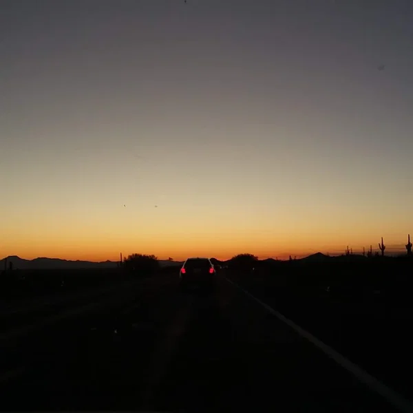 Sonoran Noir