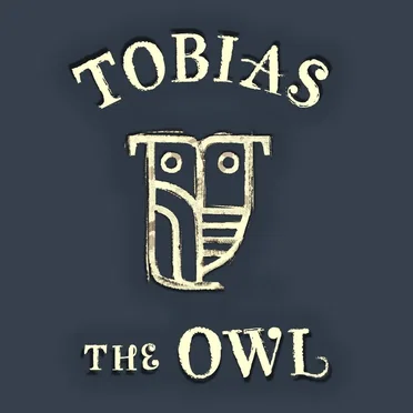 Sing me to Sleep (Acoustic) by Tobias the Owl - album cover