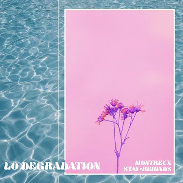 lo degradation