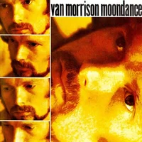 Van Morrison artist image
