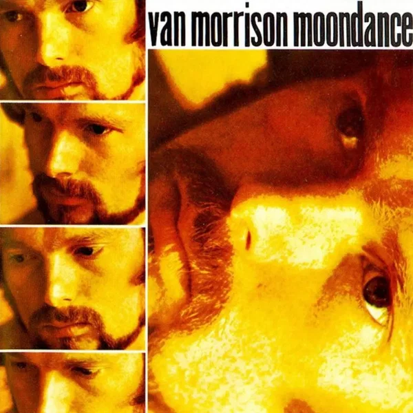 Van Morrison
