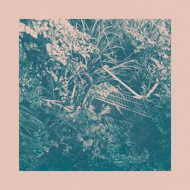 Walk in the Forest Acid