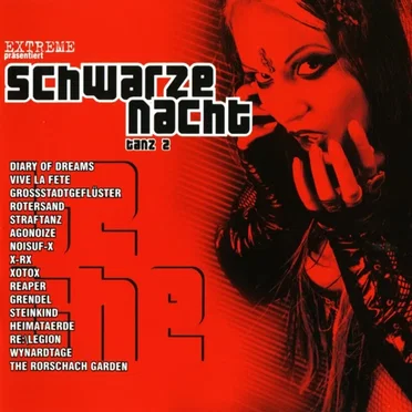 Schwarze Nacht, Tanz 2 by Various Artists - album cover