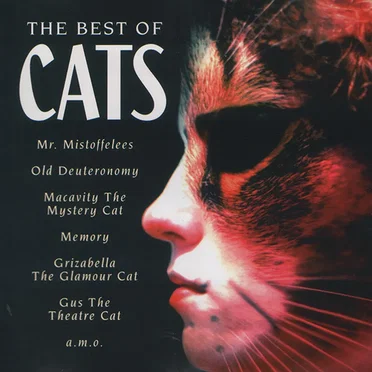 The Best of Cats