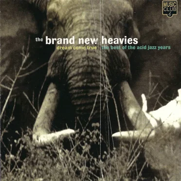 The Best of the Acid Jazz Years