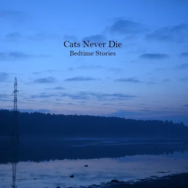 Bedtime Stories by Cats Never Die - album cover