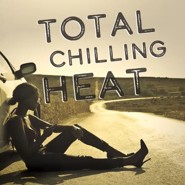 Total Chilling Heat by Various Artists - album cover