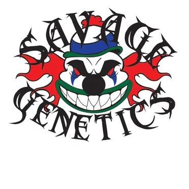 Silent Hill (Remix) by Savage Genetics - album cover