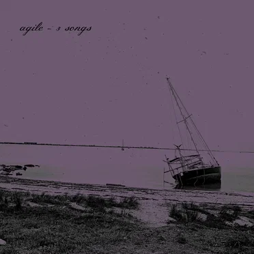 3 Songs by Agile - album cover
