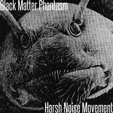 Black Matter Phantasm / Harsh Noise Movement
