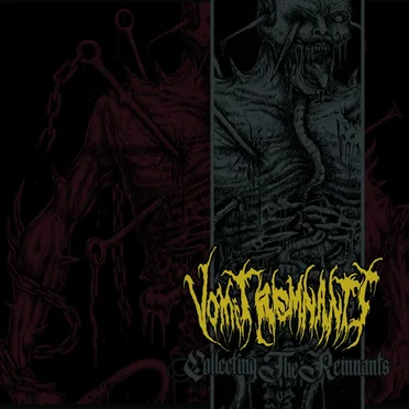 Collecting the Remnants by Vomit Remnants - album cover