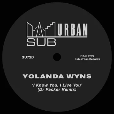 I Know You, I Live You (Dr Packer Remix) by Yolanda Wyns - album cover