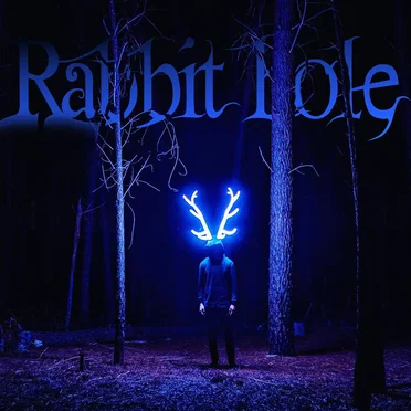 Rabbit Hole by BLVCK KARIBOU - album cover