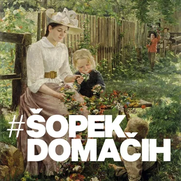 Šopek domačih - TRESK #5 by Various Artists - album cover