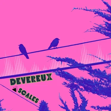 Devereux Scales by Devereux Scales - album cover