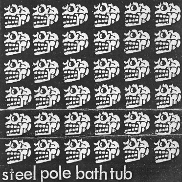 We Own Drrrills by Steel Pole Bath Tub - album cover