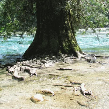 Lord Cernunnos / mhzesent