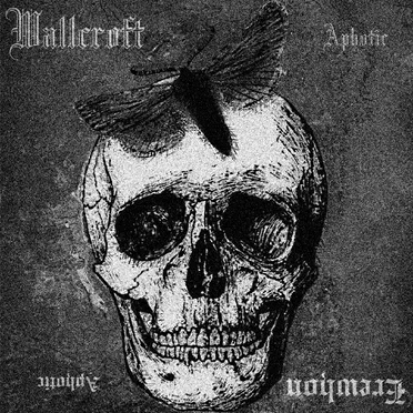 Aphotic