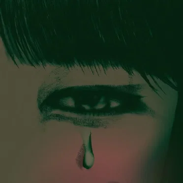 Precipitiamo di sicuro by Katana Koala Kiwi - album cover