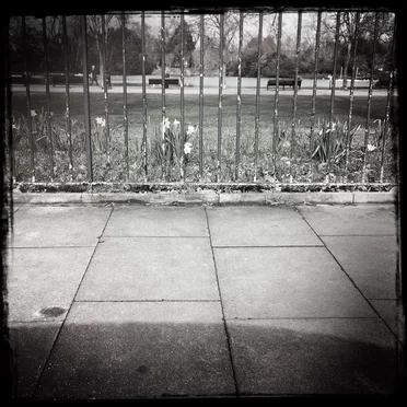 Streams of Consciousness