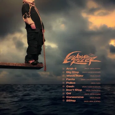 Wave Ruler