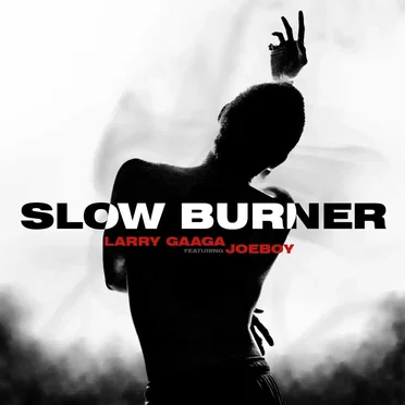Slow Burner by Larry Gaaga - album cover