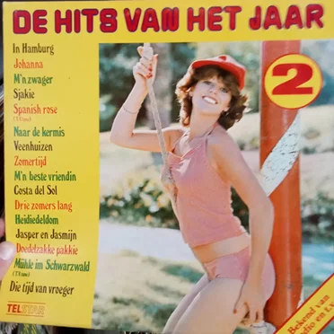 De hits van het jaar, 2 by Various Artists - album cover