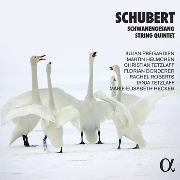 Schwanengesang / String Quintet