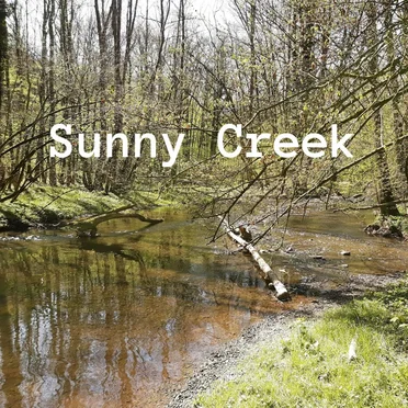 Sunny Creek