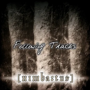 Following Tracks