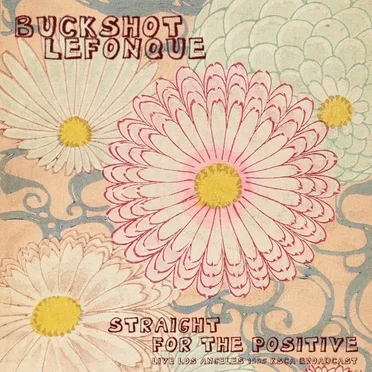 Straight for the Positive (live '95)