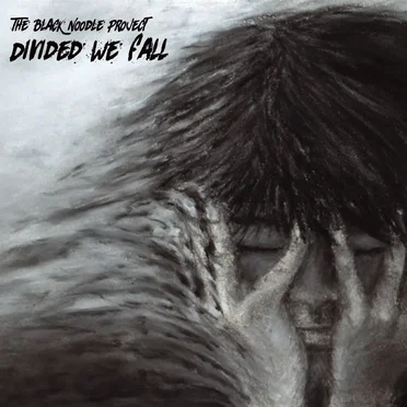 Divided We Fall by The Black Noodle Project - album cover
