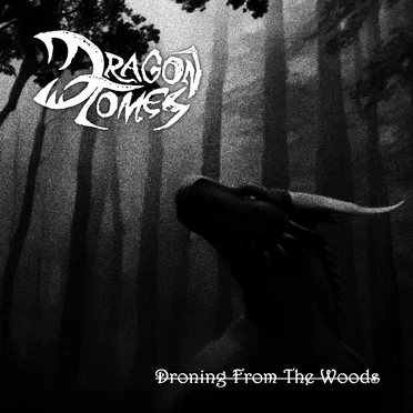 Droning From The Woods