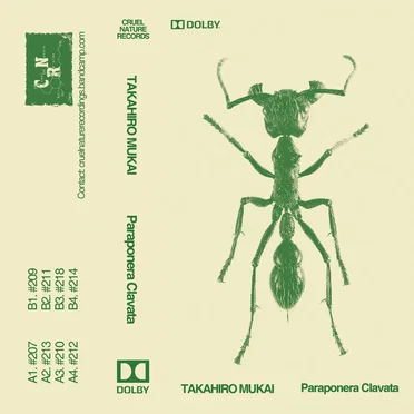 Paraponera Clavata