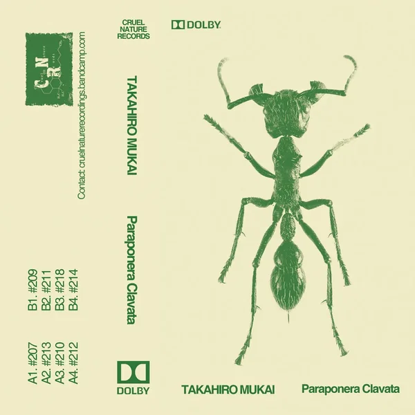 Paraponera Clavata