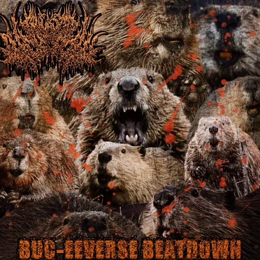 BUC-EEVERSE BEATDOWN