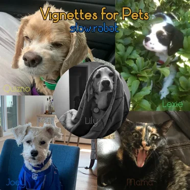 Vignettes for Pets by Slow Robot - album cover