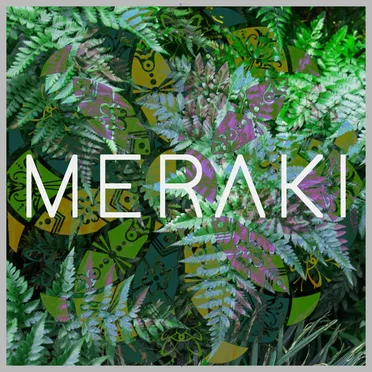 Meraki’s Back Catalog