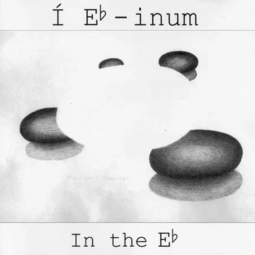 Í Eb-inum by Í Eb-inum - album cover