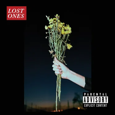 Lost Ones by Flower Drums - album cover