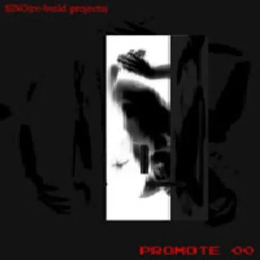 Promote 00