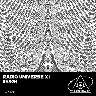 Radio Universe XI