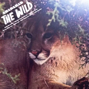 The Wild EP by ABADABAD - album cover