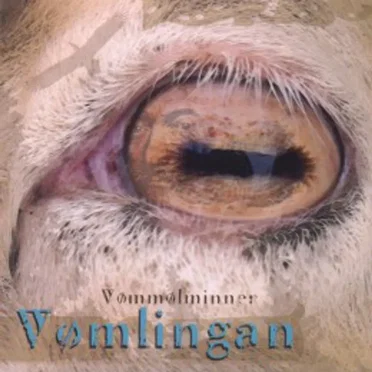 Vømmølminner by Vømlingan - album cover
