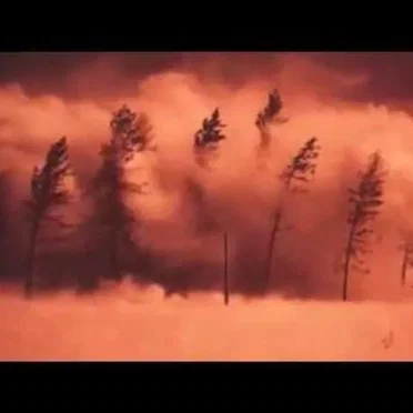 Nuclear Winter