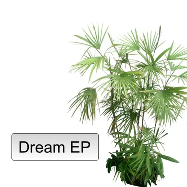 Dream EP by Wifi Princess - album cover