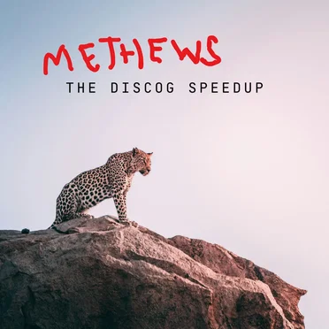 METHEWS: The Discog Speedup EP