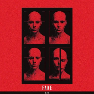 FAKE
