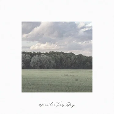 When the Trees Sleep